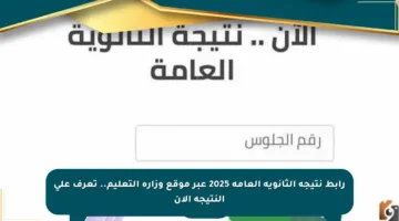 رابط نتيجة الثانوية العامة 2025 عبر موقع وزارة التعليم.. تعرف على النتيجة الآن